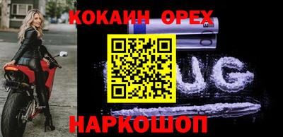 jwh Бийск