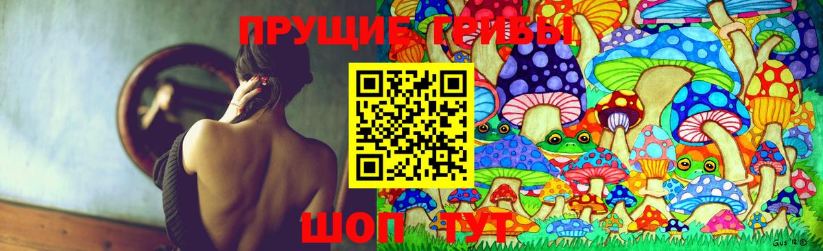 Псилоцибиновые грибы Psilocybe Баксан