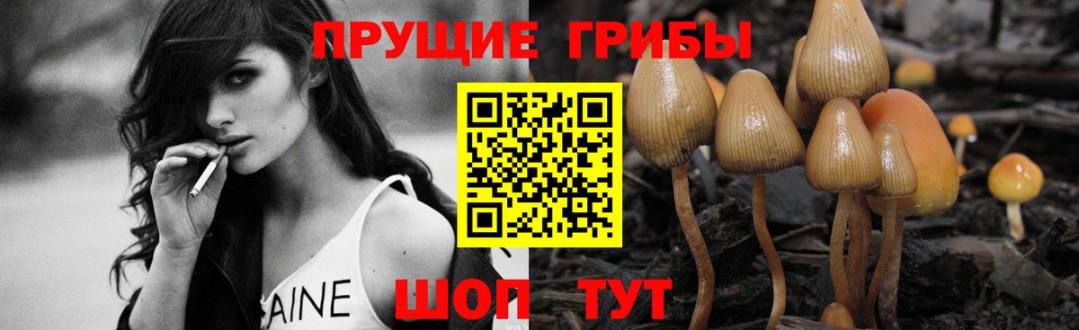 Баксан  купить наркоту  Вход с VPN  Галлюциногенные грибы Psilocybe 